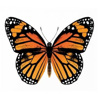 День бабочки-Монарх поделка