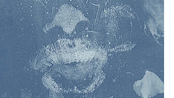 Remembr. blog | De kus van Lennart